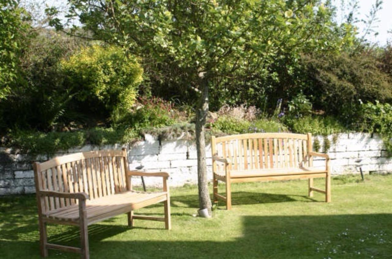 Ramsey House - Luxury Licensed B&B - Parking And Guest Lounge St. Davids  Exteriör bild