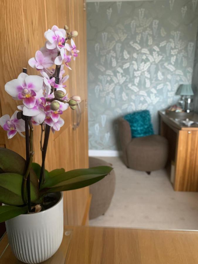 Ramsey House - Luxury Licensed B&B - Parking And Guest Lounge St. Davids  Exteriör bild